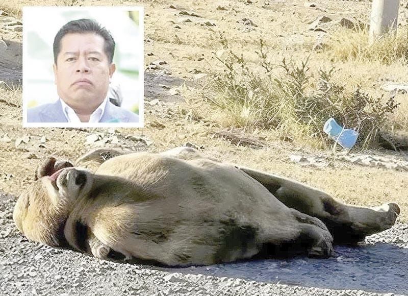 ¡ASESINAN A HIJO DE 16 AÑOS DE ALCALDE POBLANO!