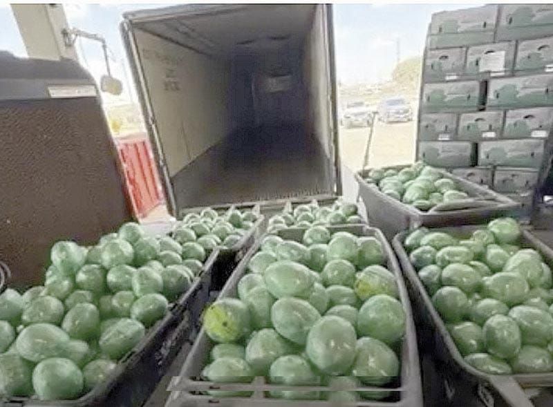 ¡HALLAN MÁS DE 900 KILOS DE METANFETAMINA ENTRE REPOLLOS!