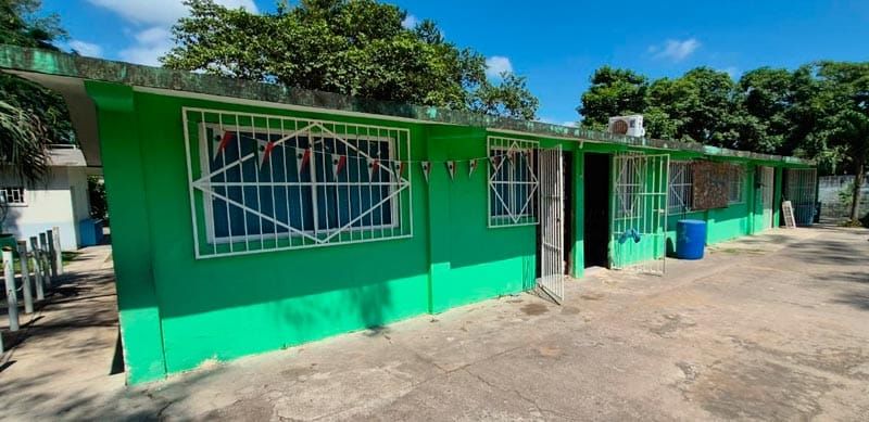 ¡‘RATAS’ DEJAN SIN LUZ A ESCUELA PRIMARIA!