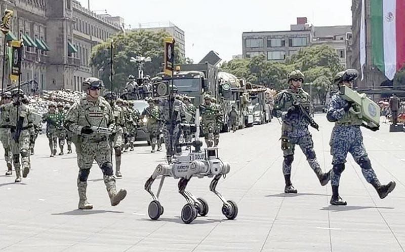 ¡PRESENTA EJÉRCITO A 'XOLOTL', CUADRÚPEDO CONTRA EXPLOSIVOS!