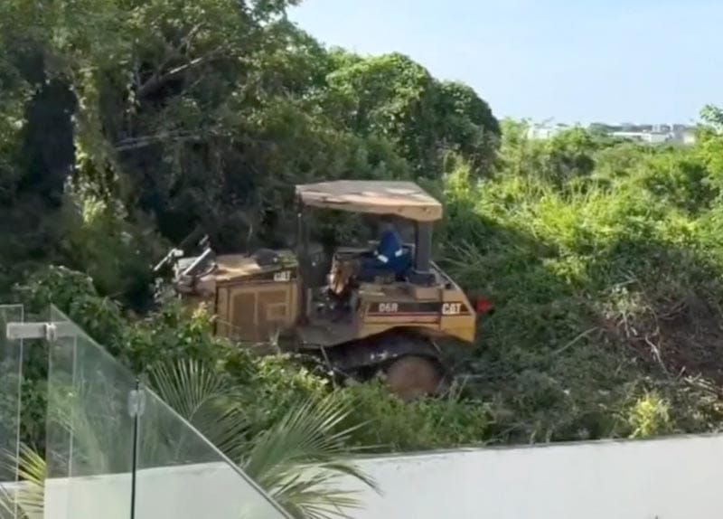 ¡DENUNCIAN DEVASTACIÓN! - EN LA RIVIERA VERACRUZANA