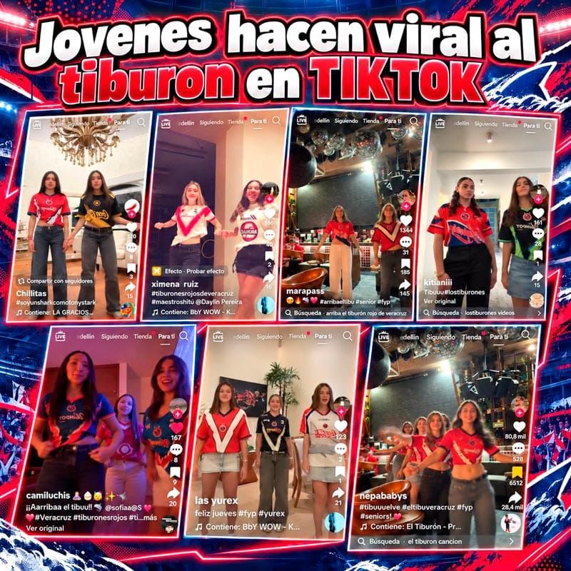¡NO LE PARAN FANS DE TIBURONES!