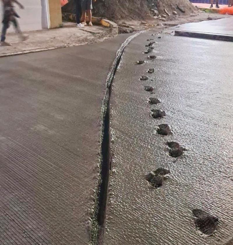 ¡MOTOCICLISTA TENÍA SEGURO!