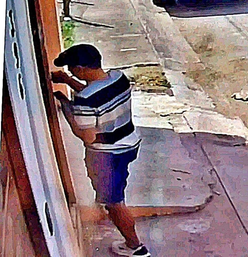 ¡CON ENGAÑOS UN “RATÓN” LE ROBÓ EL CELULAR A ABUELITA!