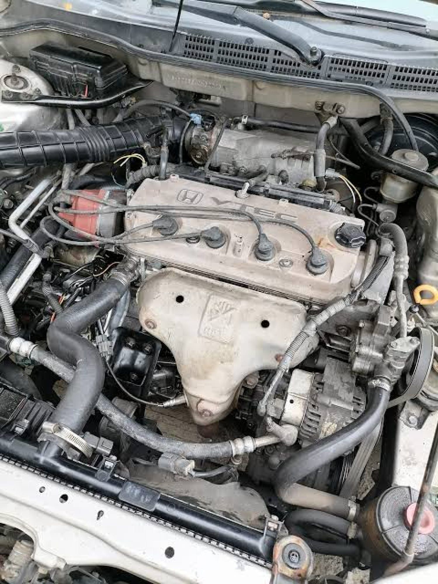 ¡PROFECO ALERTA POR FALLA EN CASI DOS MIL AUTOMÓVILES HONDA!