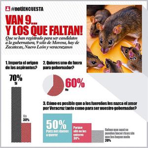 LA ENCUESTA