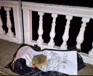 ¡LOCALIZAN CADÁVER EMBOLSADO EN PUENTE LIRIO DE TUXPAN!