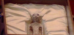 MAUSSAN LES LLEVA DOS ALIENS Y AL CHEKO A LOS DIPUTADOS!