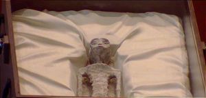 MAUSSAN LES LLEVA DOS ALIENS Y AL CHEKO A LOS DIPUTADOS!