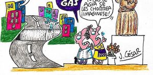 LOS CARTONES
