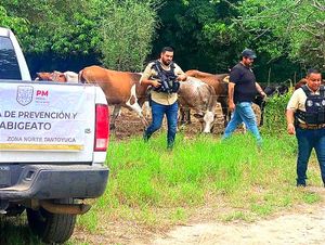 ¡CON METRALLETA Y TODO! -OPERATIVO CONTRA EL ABIGEATO EN LA ZONA NORTE -Revisan vehículos y verificaron la propiedad de animales