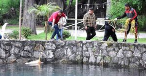 ¡LOCALIZAN UN CADÁVER FLOTANDO EN LAGUNA DE NOGALES! -En calidad de desconocido, el cadáver fue enviado a medicina forense en Orizaba