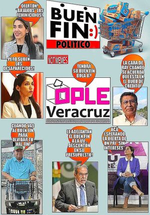 NOTI-MEME - BUEN FIN POLÍTICO