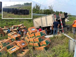 ¡VUELAN LAS PAPAYAS! -En la Autopista Cardel-Veracruz