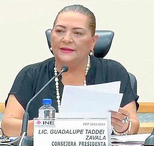 ¡QUE RECORTE AL INE NO TOCARÍA ORGANIZACIÓN ELECTORAL, SEGÚN TADDEI!