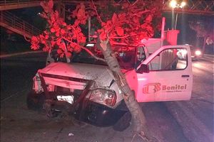 ¡SE LE ATRAVIESA CAMIÓN Y SE IMPACTA CONTRA UN ÁRBOL!