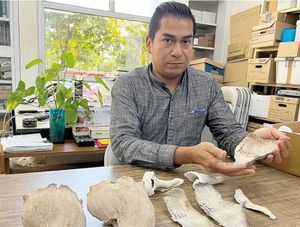 ¡DESCUBREN UN CAMPAMENTO PREHISPÁNICO MAYA EN YUCATÁN!