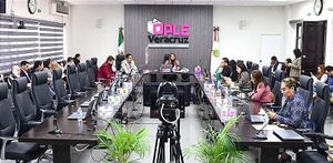 ¡RENUNCIAS EN EL OPLE! *EN LOS CONSEJOS DISTRITALES *TRAS SER NOMBRADOS PARA INTEGRAR LOS 30 ÓRGANOS