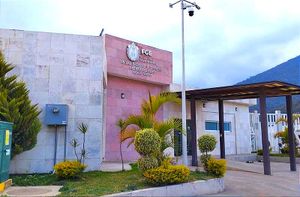 ¡TRASLADAN A NOGALES LOS 15 DESMEMBRADOS DE TUXPAN!