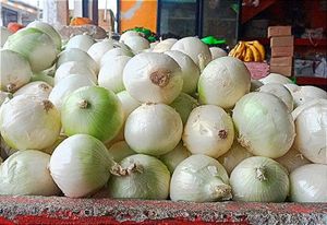 ¡VENDEN MÁS CARA  LA CEBOLLA BLANCA EN SÚPERMERCADOS QUE EN EL MALIBRÁN!