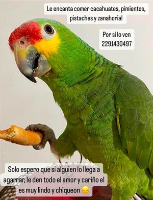¡SE LES ESCAPÓ “RENI”! - *“Cuidenlo, Es Muy Chiqueón”