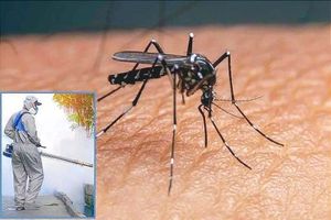 ¡ALERTAN POR DENGUE! - EN MÉXICO HA CRECIDO 500%!