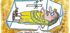 LOS CARTONES