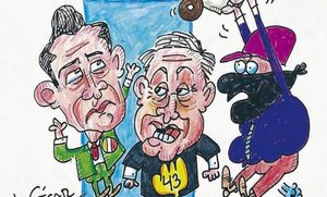 LOS CARTONES