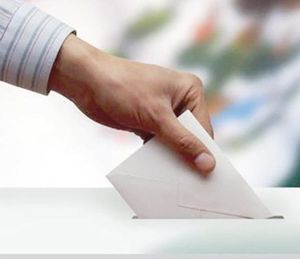 ¡INE Y OEA FIRMAN Y LE ECHARÁN OJO AL PROCESO ELECTORAL!