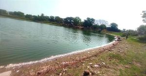 ¡SE DESLINDA GRUPO MAS DE MORTANDAD DE PECES!