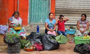 ¡TOTONACOS VS. FRACKING! - SE UNEN 14 COMUNIDADES *Siguen Peleando en Tribunales