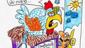 LOS CARTONES