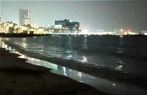 ¡ALERTAN SOBRE TIBURONES EN PLAYA REGATAS, ERAN DELFINES!