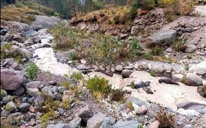 ¡PEGA SEQUÍA A MANANTIALES EN LAS ALTAS MONTAÑAS!