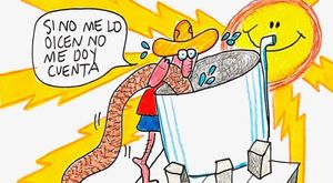 LOS CARTONES