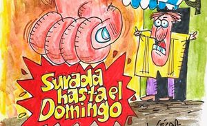 LOS CARTONES