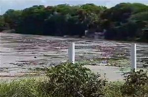 ¡ALERTA POR CRECIDA DEL JAMAPA Y COTAXTLA! - *Rozan su Nivel Máximo Ordinario