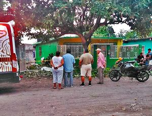 ¡CAYÓ DE CABEZA! - ANDABA PODANDO TREPADO EN EL ÁRBOL