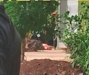 ¡EJECUTAN A EX COMANDANTE DE LA MINISTERIAL! - ATACADO A BALAZOS AFUERA DE UN SALÓN DE EVENTOS EN SAN ANDRÉS TUXTLA