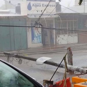 ¡PA’TORMENTÓN! - *Árboles derribados hasta  puestos afectados por los vientos