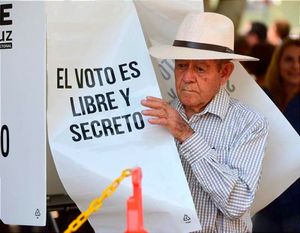 ¡COSTARON MÁS DE 200 MILLONES DE PESOS LAS CAMPAÑAS ELECTORALES!