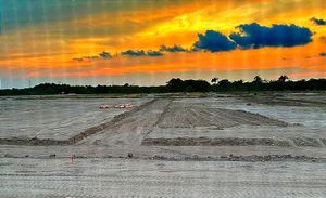 ¡DE CHARQUÍN A ‘HORNÍN’! - *RASURANDO ÁREAS VERDES