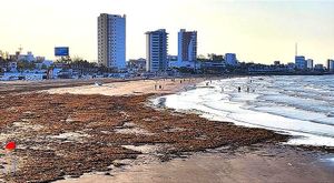 ¡TONELADAS DE BASURA TRAE EL JAMAPA!
