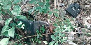 ¡LOCALIZAN CADÁVER EN LOTE BALDÍO DE COATZACOALCOS!