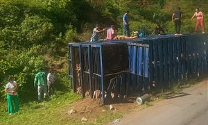¡RAPIÑA DE CERDOS POR VOLCADURA EN ACULTZINGO! - *EN MENOS DE UNA HORA