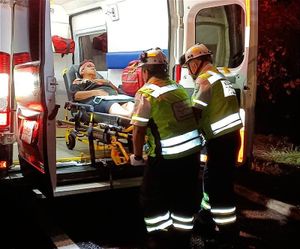 ¡SE IMPACTAN CONTRA UNA VACA! - CÓRDOBA-VERACRUZ