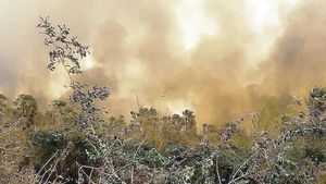 ¡EMERGENCIA NACIONAL POR LOS INCENDIOS FORESTALES! - EN BOLIVIA