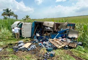¡CAMIÓN DE LA PEPSI VOLCÓ EN UN PANTANO!