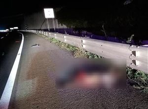 ¡MUERE ATROPELLADA POR UN “OVNI”! - *ENCONTRADA EN LA AUTOPISTA A XALAPA