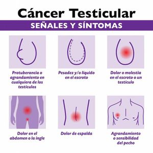 TIPS PARA MEJORAR LA CALIDAD DE VIDA